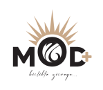 Mod Artı Koçluk-Danışmanlık